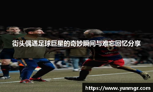 金年会