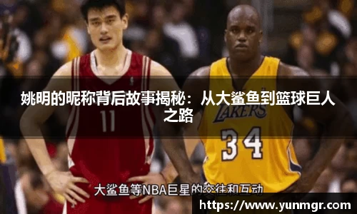 姚明的昵称背后故事揭秘：从大鲨鱼到篮球巨人之路