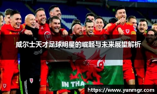 威尔士天才足球明星的崛起与未来展望解析